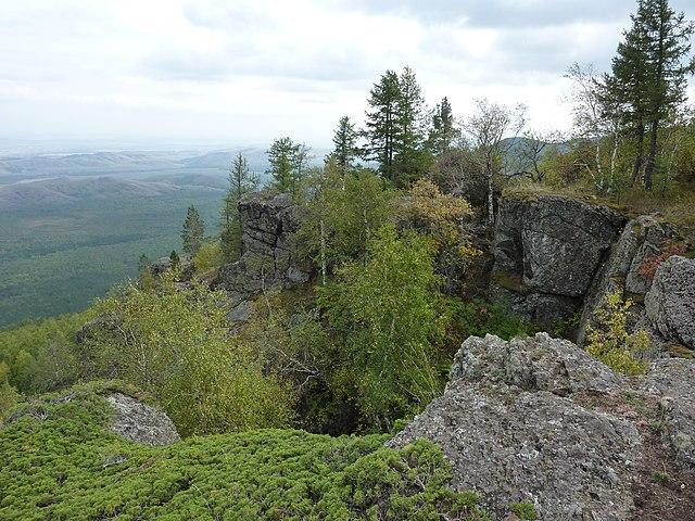 Американец помог однорукой дочери спасти упавшую в утес мать