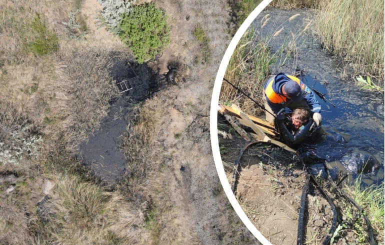 На ликвидацию битумного болота в Троицке, в котором едва не утонула женщина, выделили 600 тысяч