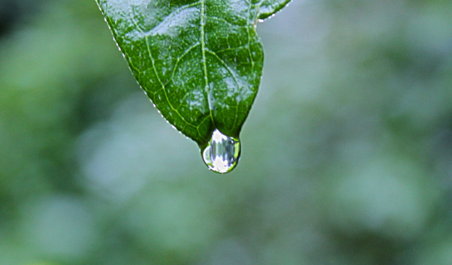 В Великобритании туристам вернут деньги, если пойдет дождь