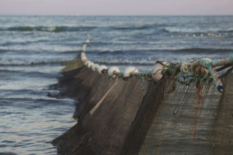 АСРФ просит устранить лазейки для двойного учета по инвестквотам