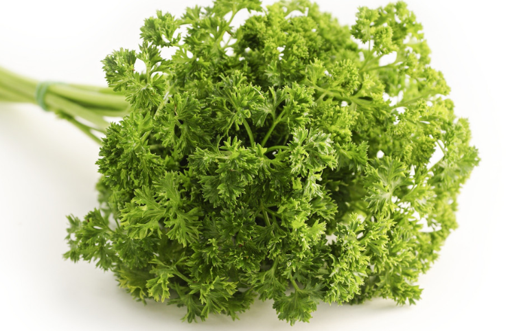 Раскрыто влияние петрушки на женское здоровье