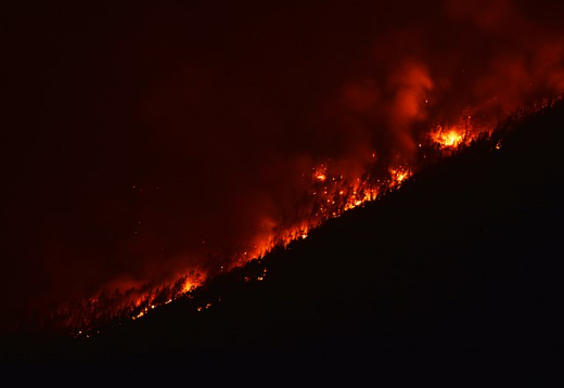 «Турпром» рассказал о «кошмарных» пожарах на популярных курортах Турции