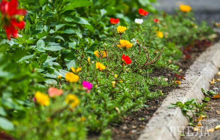 Потепление до +21 градуса и небольшие дожди ожидаются в Челябинской области во вторник