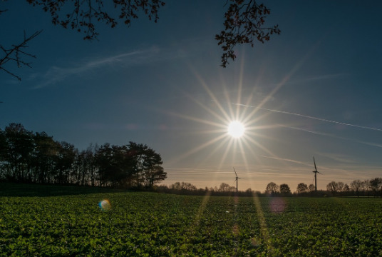 Терапевт Голоухов назвал лучший способ избежать теплового удара летом