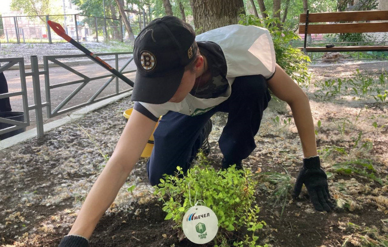Волонтёры «Зелёного города» привели в порядок 30 дворов Челябинска и высадили в них кустарники