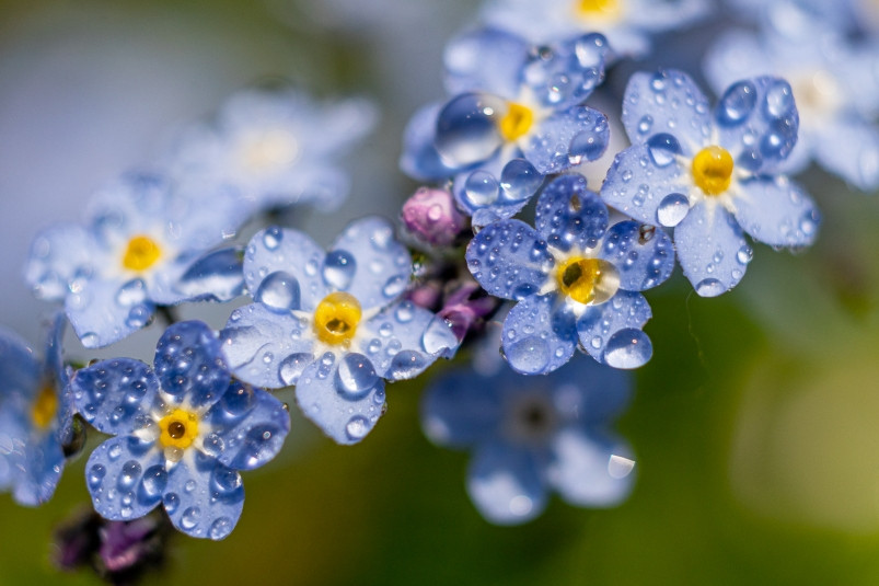 Снова дожди: погода в Приморье в эти выходные не даст расслабиться