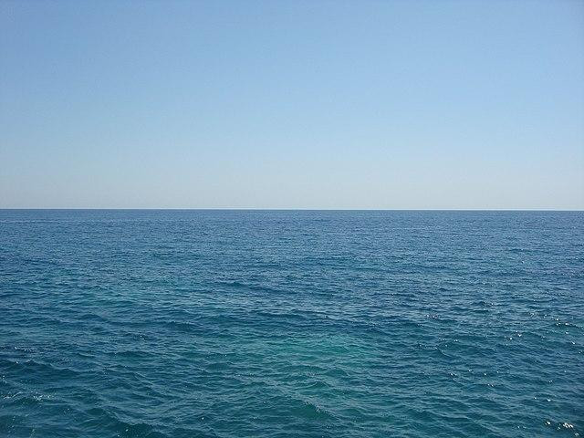 Трупы свиней прибило к побережью Сухума