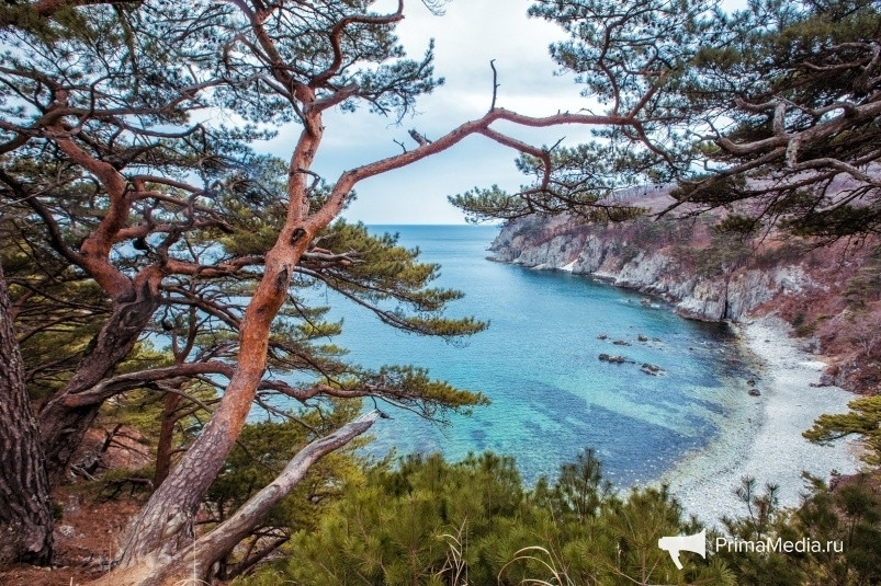 От дубового криволесья до тигриных поскребов: как изучить Приморье экомаршрутами