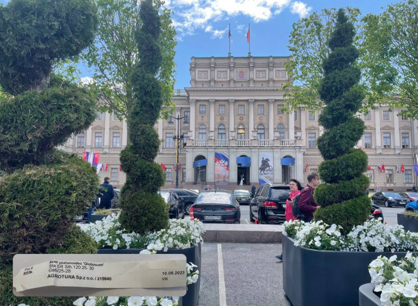 Смольный дал «зеленый свет» компаниям из стран Европы для захвата рынка Петербурга по продаже саженцев