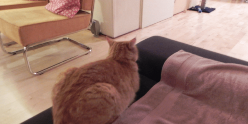 Совпало: после ухода иностранных мебельных компаний в России отметили 60% рост продаж мебели