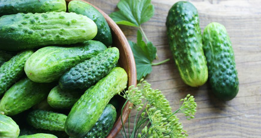 Подкормка для огурцов во время цветения и плодоношения для увеличения урожая