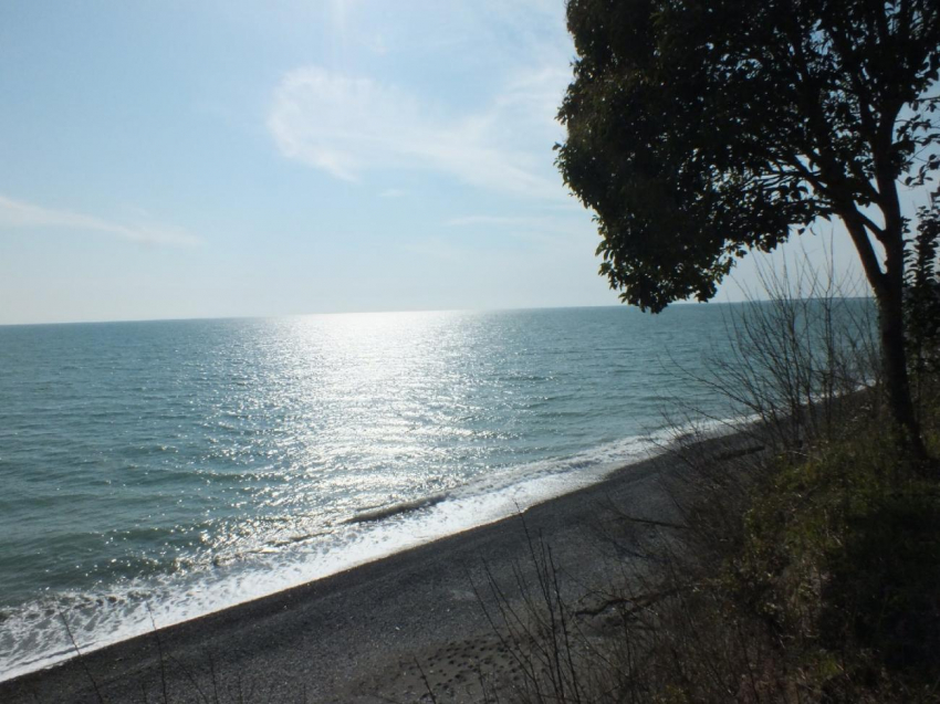 «АиФ»: В Абхазии открылся бюджетный курорт с «феерическим» сервисом