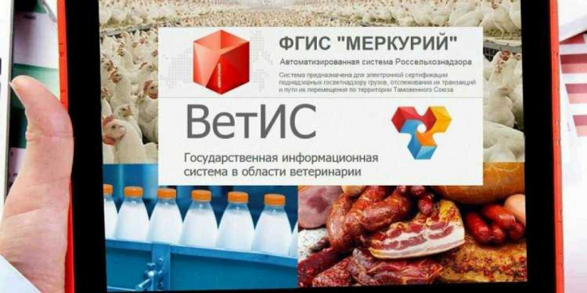 Не того стоит бояться. О грядущей отмене проверок бизнеса