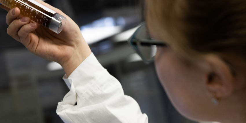 Отравление и смерть от сидра с метанолом — почему 16 человек умерли от напитка в Ульяновской области в июне 2023 года 09.06.23