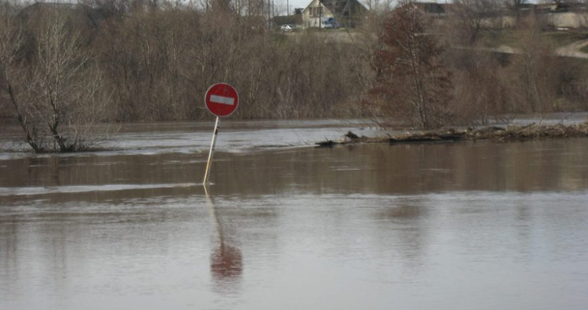Алтайский паводок: что известно о ситуации с потопом в регионе на сегодня