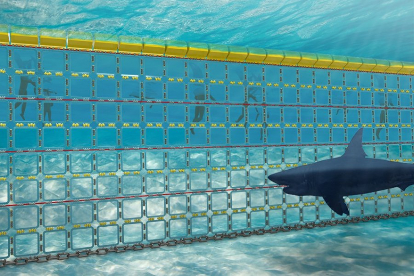 Туристы РФ ищут отели с сетками от акул