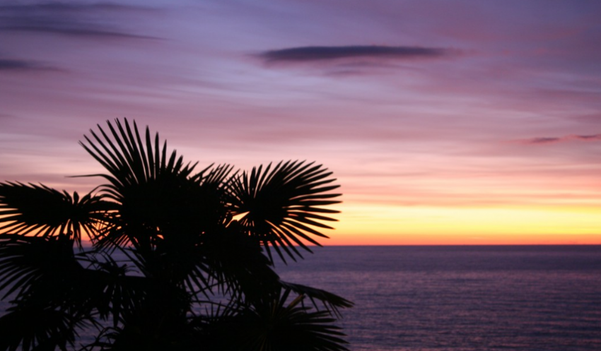 Россиянка рассказала, как сэкономить на отдыхе в Сочи