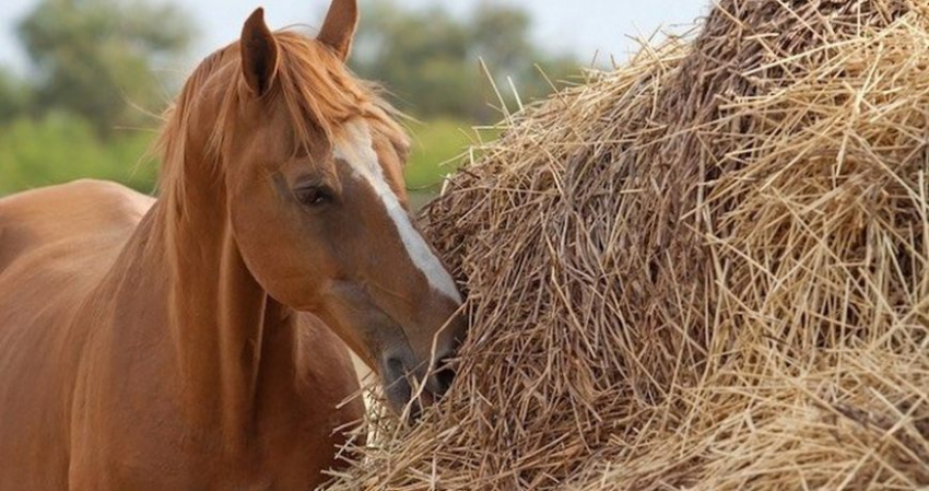 Значение старинных примет в праздник 13 июня 2023 года, строгие запреты дня