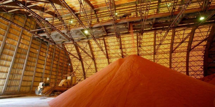 Какая судьба ждет белорусские калийные удобрения с 8 декабря?