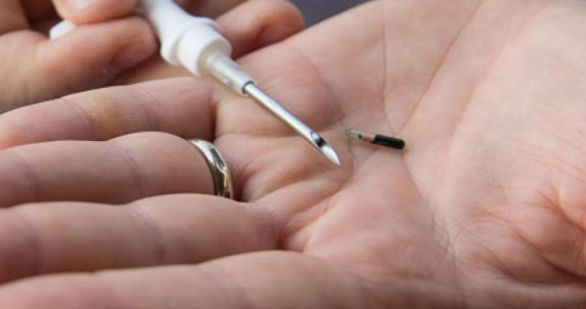 Будущее уже наступило: как чипирование от Илона Маска скажется на людях