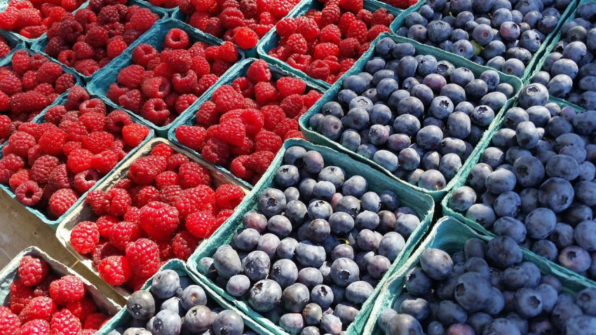 Диетолог Пониматкина рассказала об опасностях употребления немытых ягод