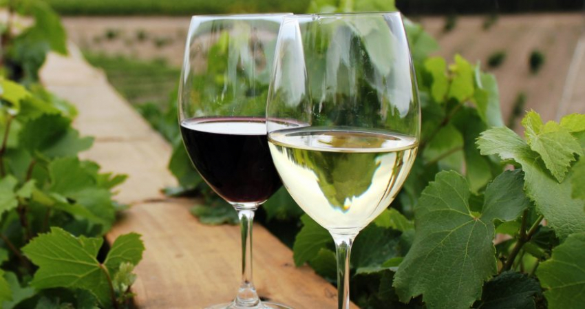 Винные войны: почему российские виноделы выступают против грузинского вина