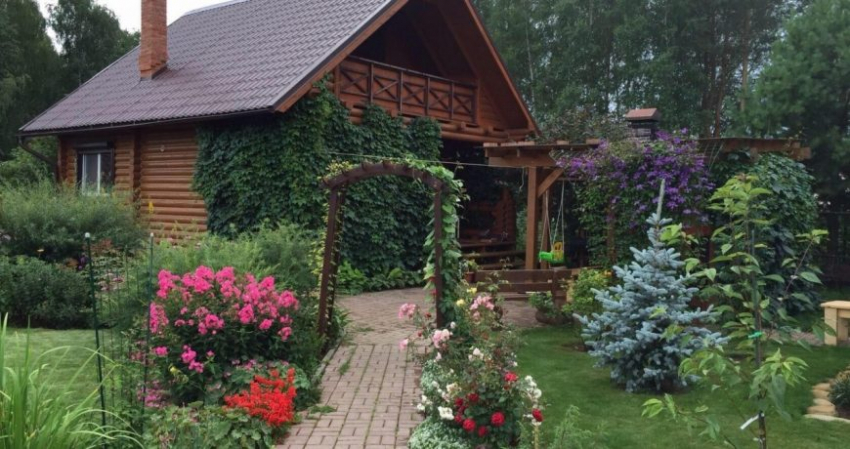 Опасности дачи: какими болезнями можно заразиться на участке