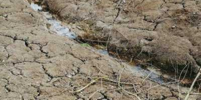 Итальянские власти расчитывают на спасение от засухи с помощью экстрасенса