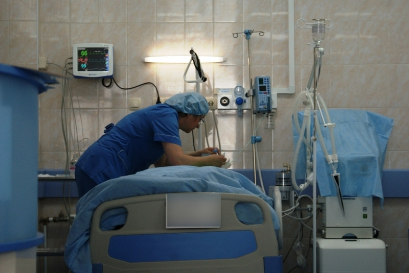 Забайкальцы, съевшие мясо медведя, заразились опасными гельминтами