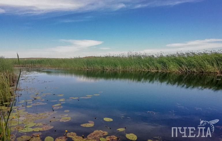 В Саткинском районе ликвидируют утечку нефтепродуктов в реку большой Бердяуш