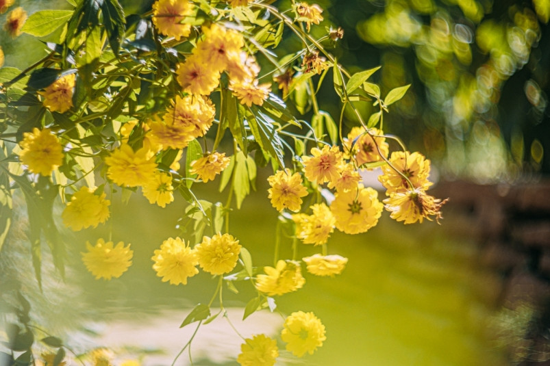 После сильных дождей в Приморье придет жара