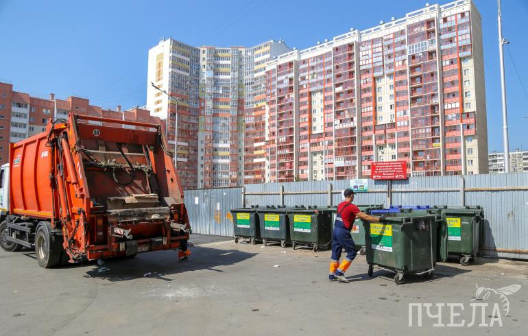 Баки по правилам и должный присмотр: в ЦКС назвали условия для идеально чистой контейнерной площадки