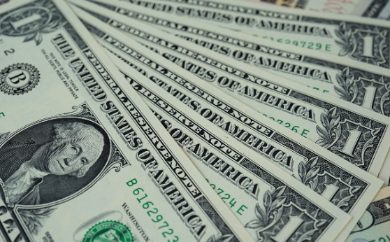 Экономист Казанцева предупредила об опасности хранения сбережений в долларах