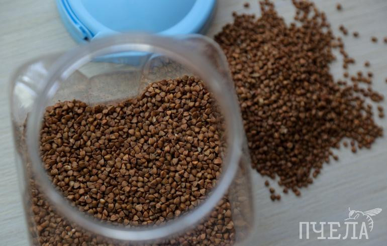 Сбер профинансирует строительство в Челябинской области завода «Увелки» за 2,5 млрд