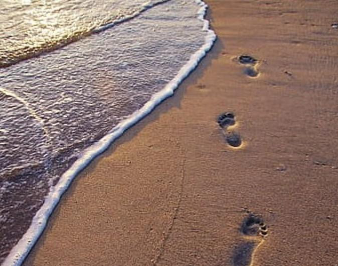 Учёный Уотерс считает, что пришло время новой геологической эпохи антропоцен