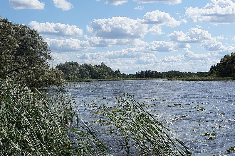 В Перми утонул 20-летний артист Семен Осокин-Портной