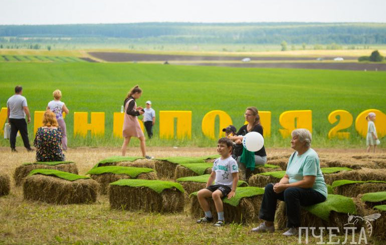 На фестивале «День поля» под Челябинском бесплатно выступит группа «Братья Енотовы»