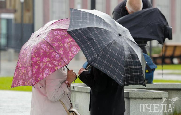 После похолодания до +7 в Челябинскую область вернётся 27-градусная жара