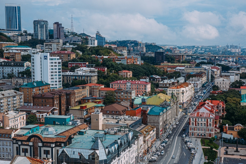 Власти прокомментировали нашествие больших крыс в центральной части Владивостока