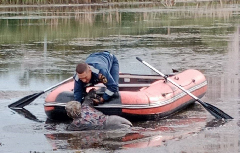 В Челябинске спасатели вытащили пенсионерку из болотной топи у озера Смолино
