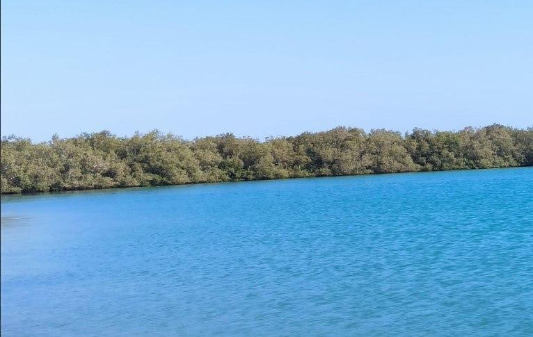 В Туапсе запрет на купание в море после подтоплений продлевается до 26 июля