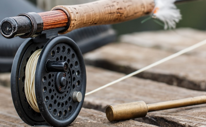 «Рыбы-вампиры» начали отбирать улов у рыбаков на Великих озерах