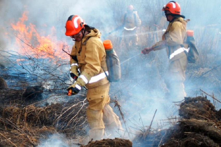 Сообщается о ситуации с пожарами в Хабаровском крае