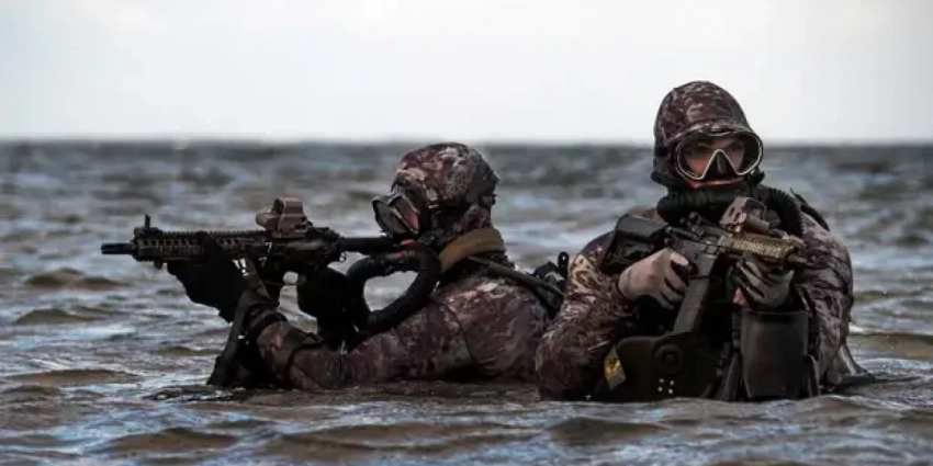 НАТО репетирует высадку «морских котиков» в Крыму — СМИ