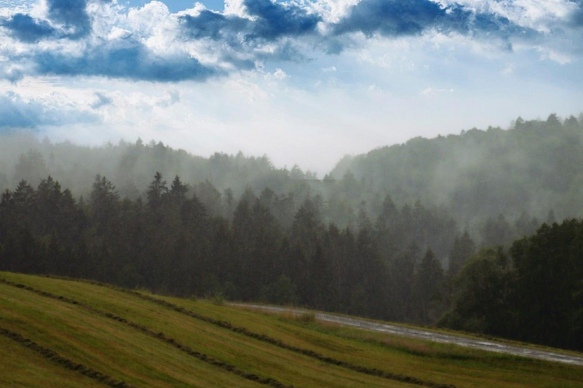 Туристы-дикари, отдыхающие на побережье Черного моря, столкнулись с проблемами