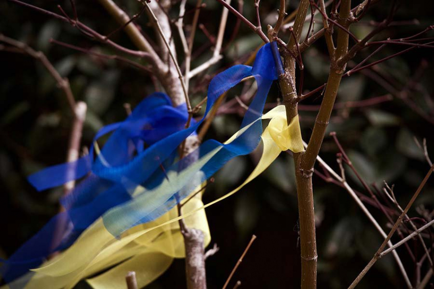Как будет выглядеть Украина после окончания спецоперации