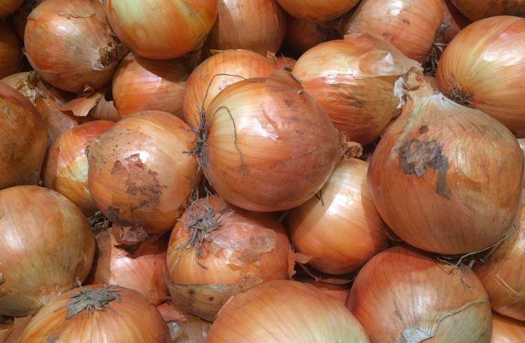 Heilpraxis: Луковый сок помогает при кашле, артрите и диабете