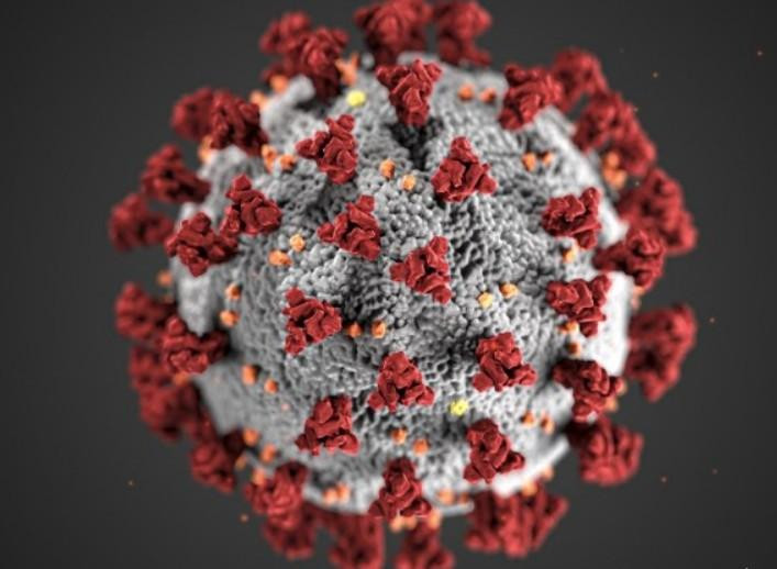 Patch: В американском Бостоне зафиксировали резкий рост заболеваемости COVID-19