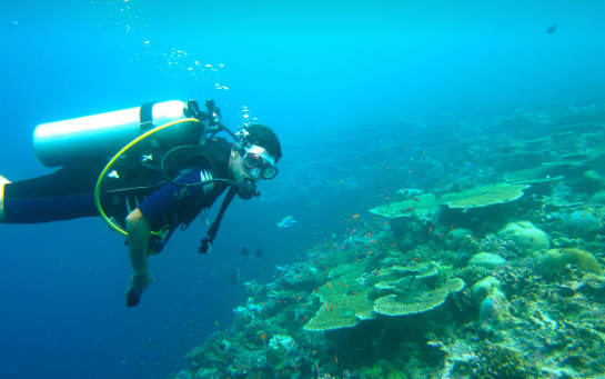 В Египте затопят 15 кораблей ради создания нового подводного музея