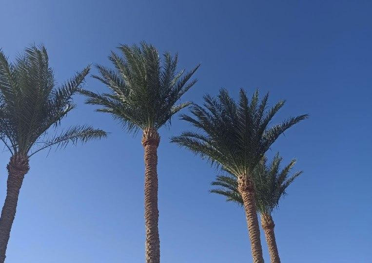 Туристов предупредили об опасности на пляжах популярного у россиян азиатского курорта